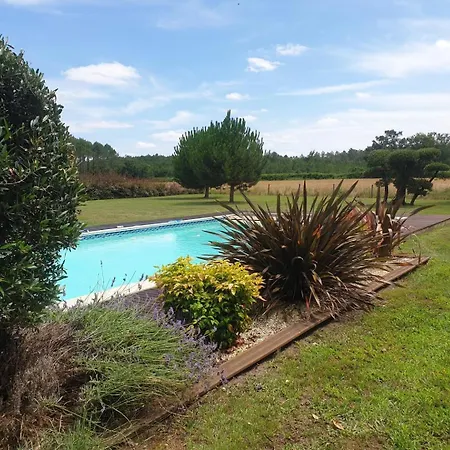 Le Clos Des Pins