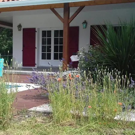 Le Clos Des Pins Feriehus Léon