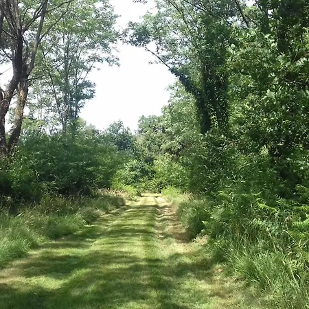 Le Clos Des Pins Feriehus