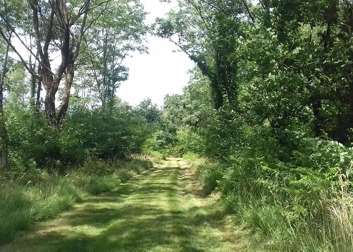 Le Clos Des Pins Feriehus